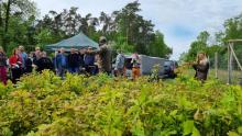 Pracownicy Ministerstwa Klimatu i Środowiska posadzili las w Nadleśnictwie Jabłonna