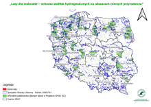 Już w najbliższą niedzielę obchodzimy World Wetland Day, czyli Światowy Dzień Mokradeł!