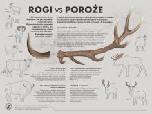 Wkrótce rusza akcja „Wieniec”