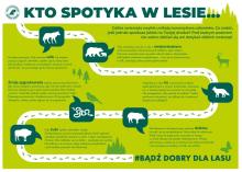 Spotkałeś dzikie zwierzę? Nie panikuj!