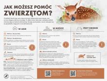 Zalazłeś pisklę? Nie zabieraj go do domu.