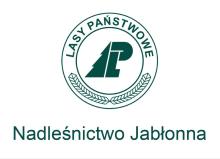 Postępowanie przetargowe Przebudowa drogi leśnej – Dojazdu pożarowego nr 21