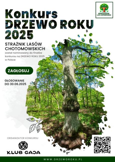 Konkurs Drzewo Roku 2025 – Głosuj na Strażnika Lasów Chotomowskich!